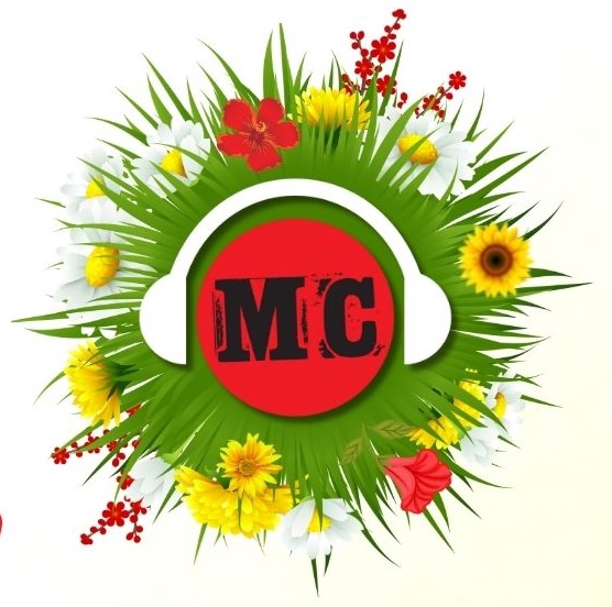 spring fling logo